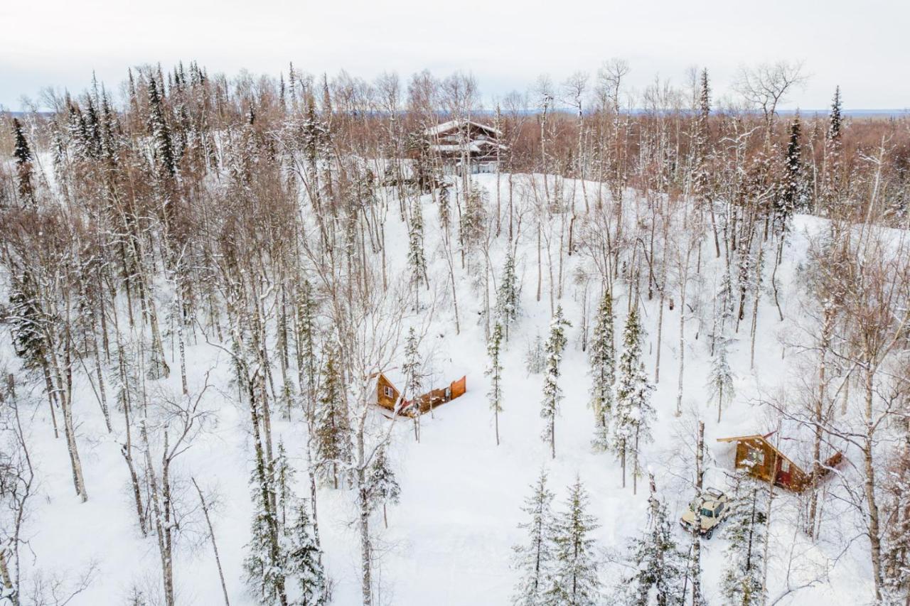 Spruce Cabin Talkeetna Bagian luar foto